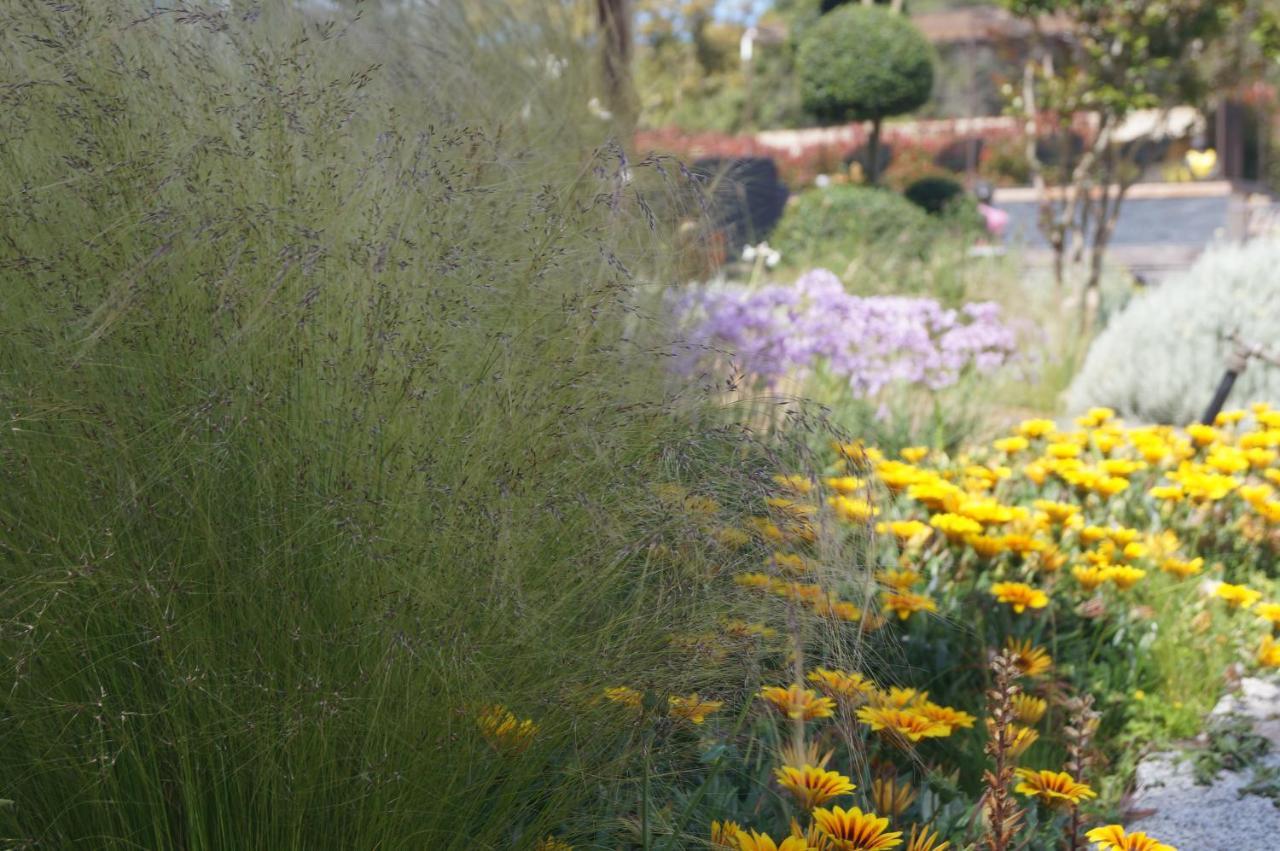 Les Jardins De Santa Giulia - Charmante Chambre D'Hote Porto-Vecchio  Buitenkant foto