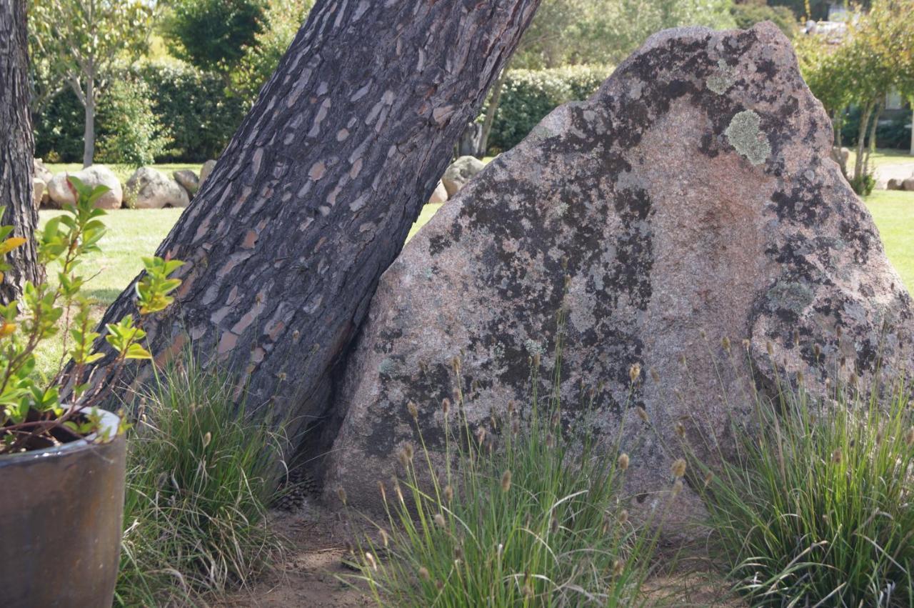 Les Jardins De Santa Giulia - Charmante Chambre D'Hote Porto-Vecchio  Buitenkant foto